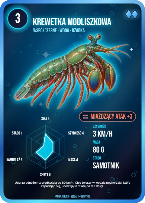 Krewetka modliszkowa